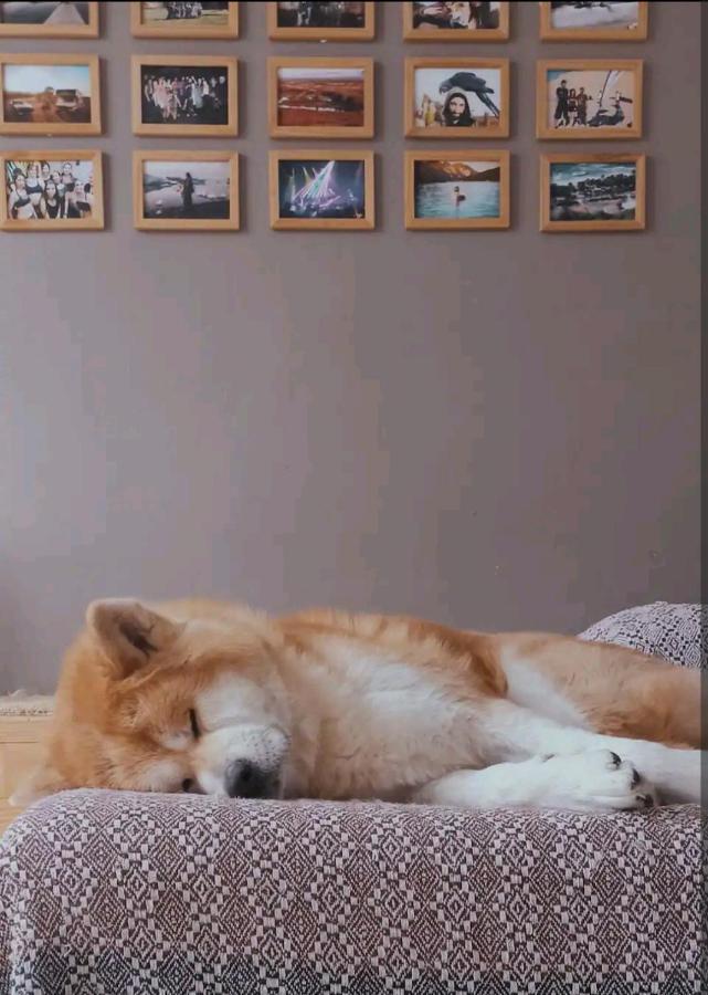 Bobby's Beds Homestay *